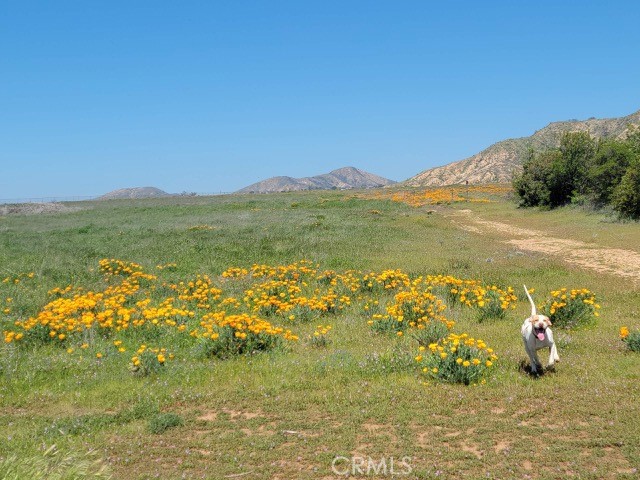 6201 Mias Canyon