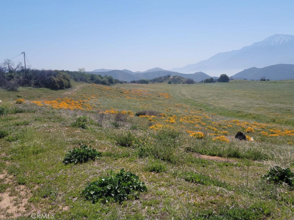 6201 Mias Canyon