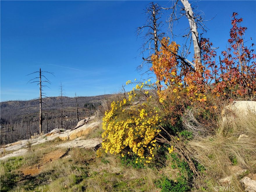 Privacy and panoramic views for miles! This gorgeous parcel sits at the top of a paved road, just below the iconic Bald Rock. The property features a couple of level building sites—perfect for your custom dream home. Several existing paved and concrete slabs provide convenient spots to rebuild outbuildings.
A newly rebuilt pump house is in place, and the well was drilled just before the 2020 Bear Fire. While the property will need a septic system, a new power transformer is located nearby, making electrical access straightforward.
Adding to its natural charm, you can hear—and even glimpse—a waterfall and creek on the adjacent parcel, creating a peaceful and inviting atmosphere. The land also features impressive rock outcroppings, reminiscent of the formations found at Bald Rock, offering unique character and stunning visual appeal throughout the property.
Whether you're envisioning a serene retreat or a full-time residence, this parcel offers an exceptional combination of privacy, scenery, and readiness for development. Call an agent for viewing. This property is on a private, gated road.