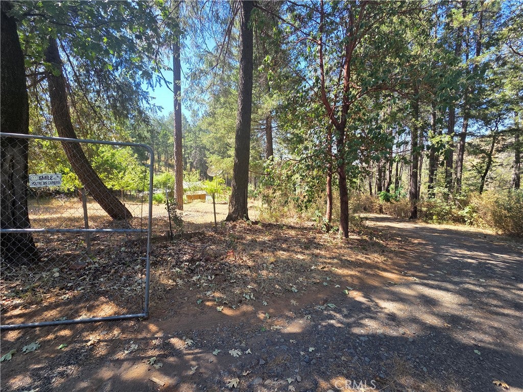 11605 Miller Peak Road