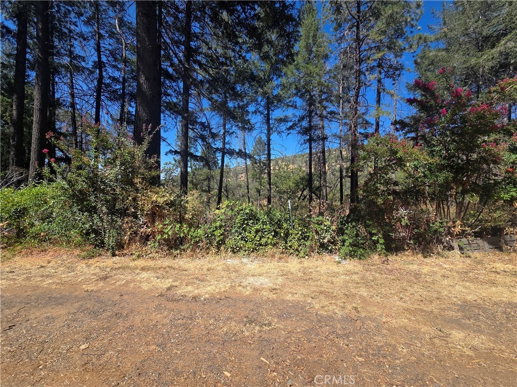11605 Miller Peak Road