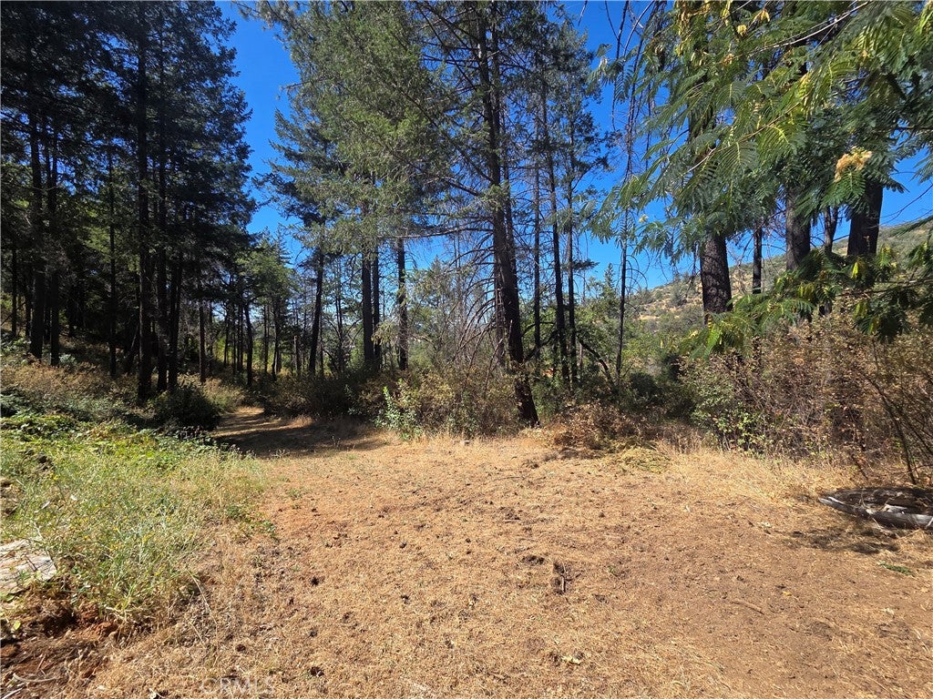 11605 Miller Peak Road