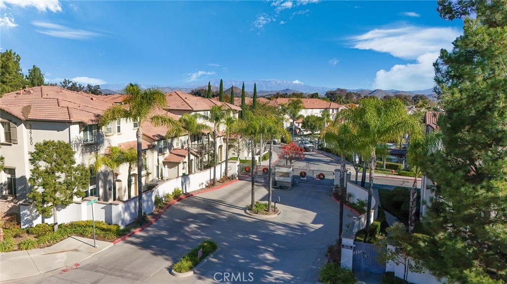 33580 Willow Haven 102