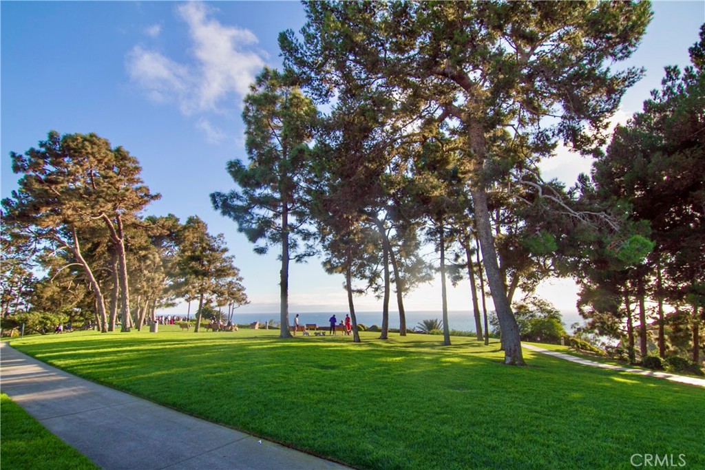 Mill Pond (MP) - Residential