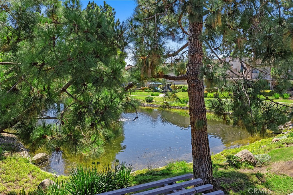 Mill Pond (MP) - Residential