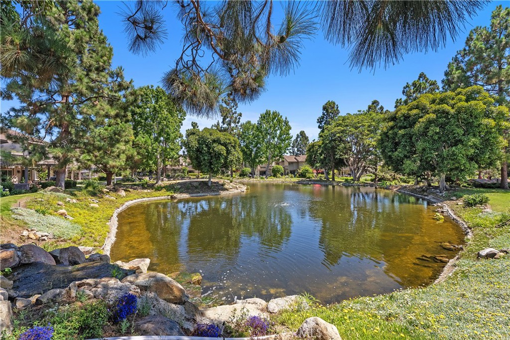 Mill Pond (MP) - Residential