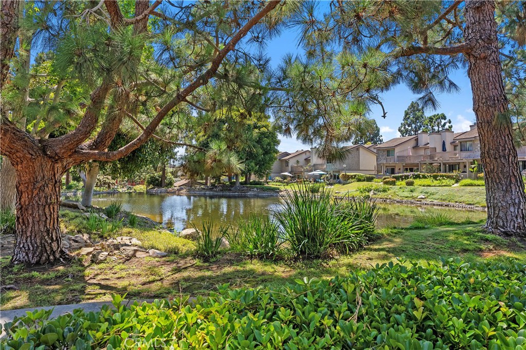 Mill Pond (MP) - Residential
