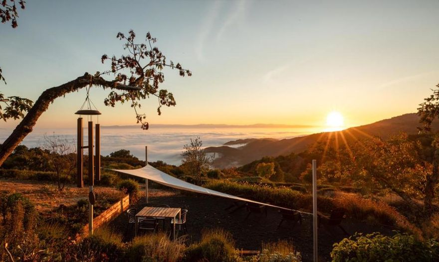 A short 10 minute drive up Page Mill from 280 leads to another world, above Silicon Valley. The main residence comprises 3BR/2.5BA, plus a large studio that could easily convert to dual offices or den. The Kitchen/Great Room serves as the hub of the home, with access to numerous outdoor spaces, terraces, and entertainment areas. Sleek European cabinetry and top-end appliances complement the design, along with a ribbon fireplace and sliders that open to an expansive deck with firepit. The Primary Suite holds one of the most compelling views with a skylight for viewing the night stars, and a slider that opens to a private terrace with spa and outdoor shower. In addition to the main residence there is an attached spacious 1 bedroom guest residence with private patio that can be incorporated into the main home, or remain as a separate living space. There is a fenced orchard, raised bed vegetable gardens, storage shed, and the infrastructure includes maintained pathways and access to open space. There is a 2-car garage plus 2-car carport with Level 2 car charging.