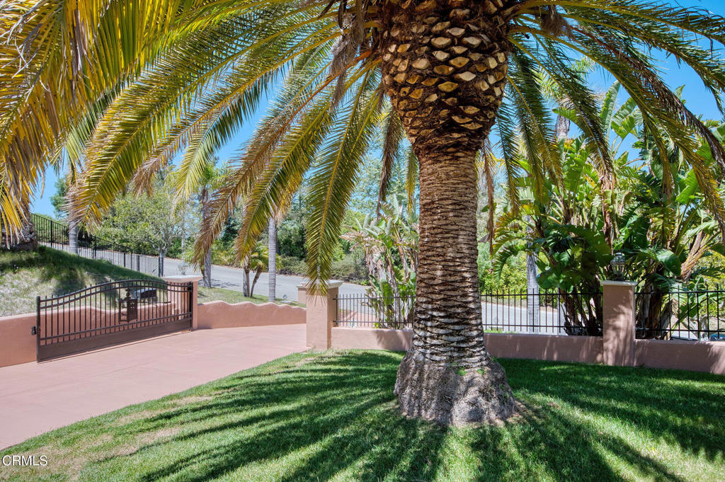 1690 Calle Tierra Vista