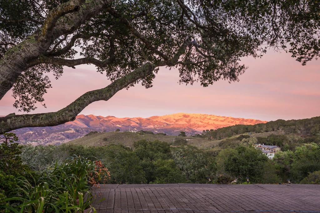 25940 Colt Lane
