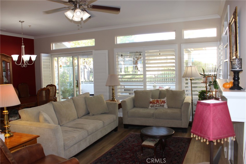 28919 28919 Paseo Theresa