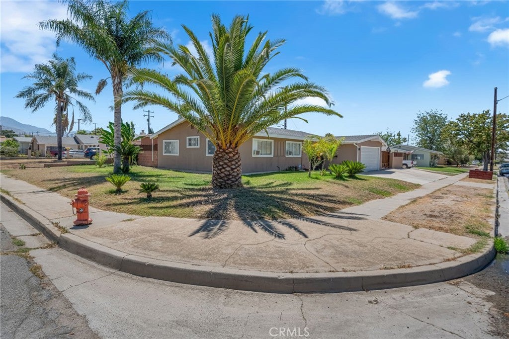 3559 Ferndale