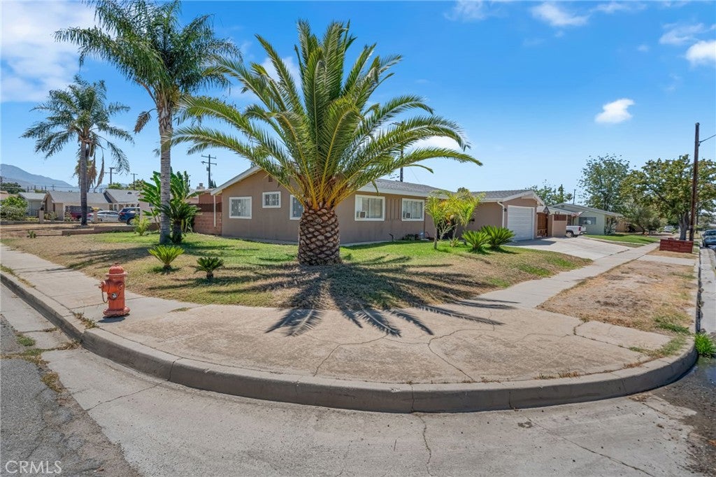 3559 Ferndale