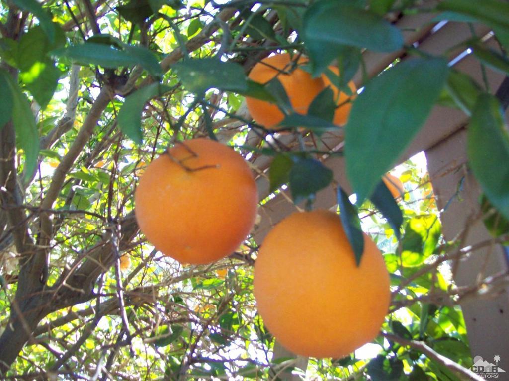 Blue Skies - Manufactured In Park