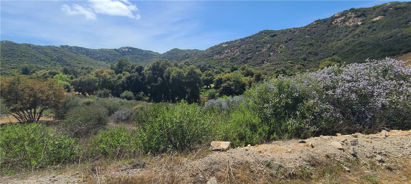 41210 Hacienda Drive
