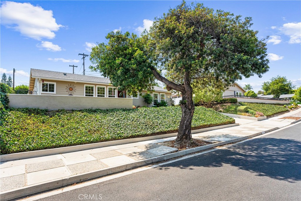 1007 Glenhaven