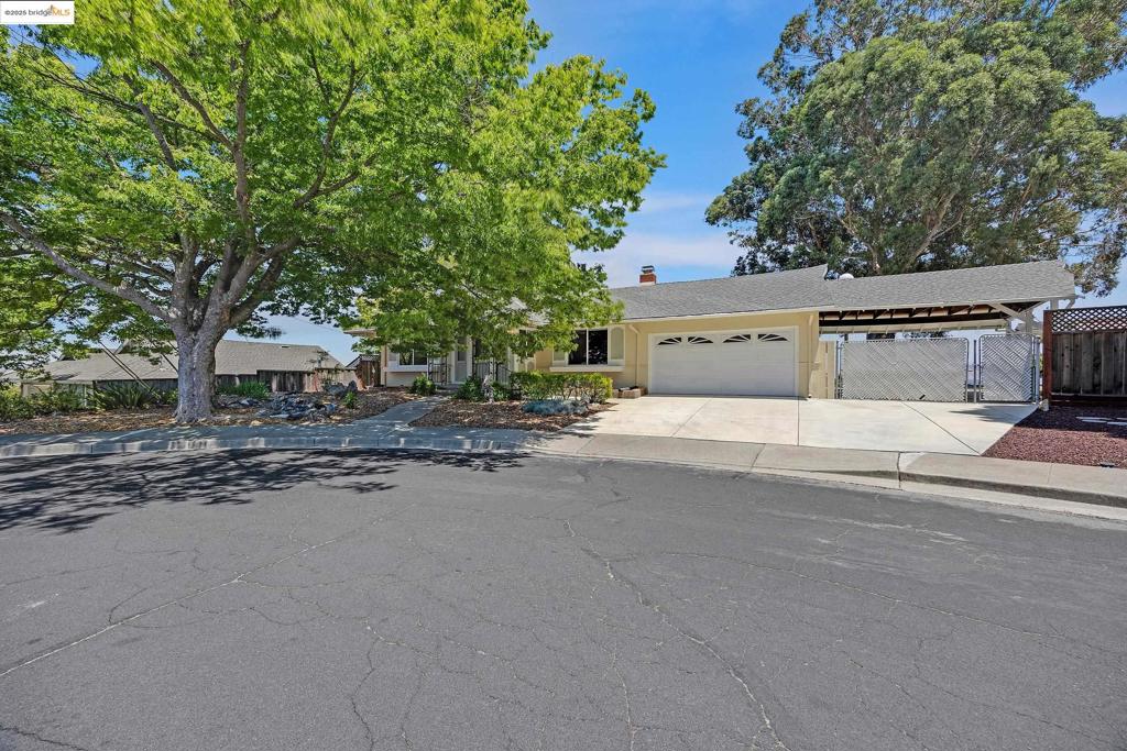 Views, Views, Views! AND NEW PRICE !! One one of the best rentals in the entire Palos Verde/Larkey Park Neighborhood. Breathtaking 180 views of Mt. Diablo and the surrounding valley from most of the rooms and rear yard and patio. The home boasts an open concept, highly functional kitchen New Dacor Wall Oven, family room open floor plan with tremendous views. Extra-large & 32'x40' backyard Patio and 29'X22' Carport off the garage, central air conditioning, low maintenance landscaping front & back. Located at the end of a very peaceful cul-de-sac. The primary bedroom suite includes a large walk-in closet. View YouTube Link View Video: https://youtu.be/xebafzHLb-8?feature=shared Close to Larkey Park, Lindsey Wildlife Experience, Larkey Aquatic Center, Palos Verde Mall with Lunardi’s Full Service Market/Deli/Bakery. Easy access to HWYS 680 & 24 and Downtown Walnut Creek. Desirable Schools! Apply with RentSpree https://apply.link/JHMrFVU