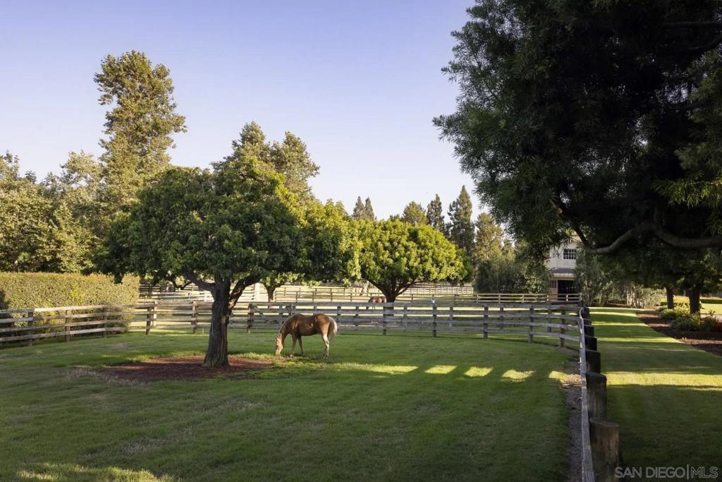 Rancho Santa Fe - Residential