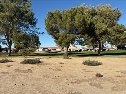 Photo of 15114 Blue Grass Dr, Helendale, CA 92342 (MLS # HD25262424)