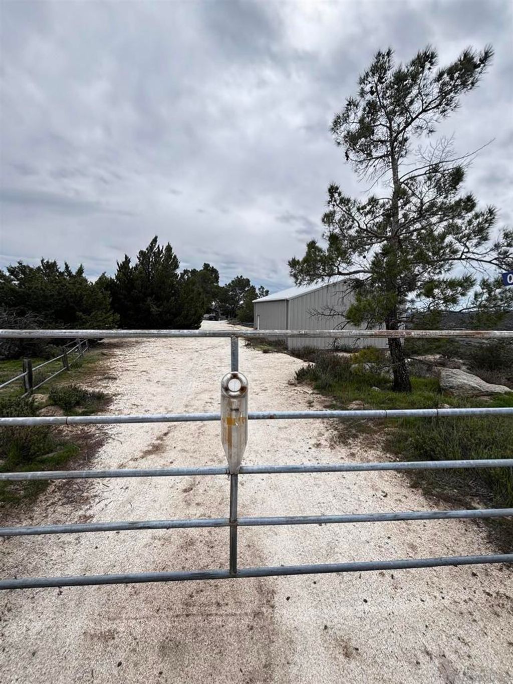 listing image 130722056314289663432