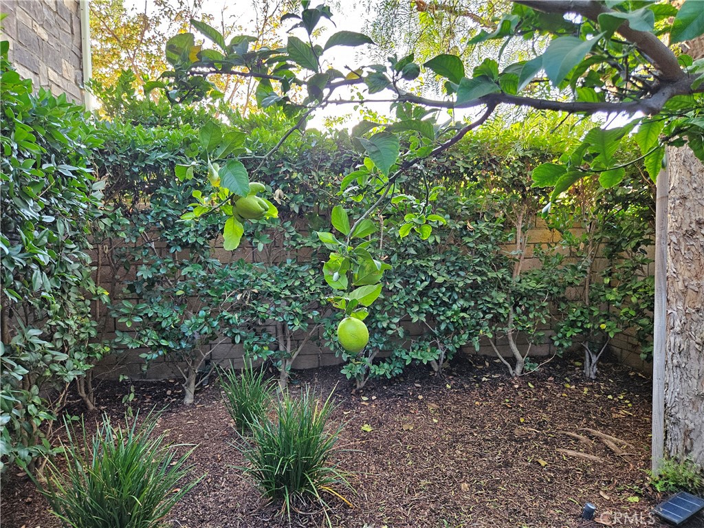 HEIGHTS (BKHTS) - Residential Lease