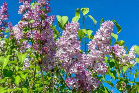 Tiny photo for 3956 Maricopa Rd, Atascadero, CA 93422 (MLS # NS26065041)