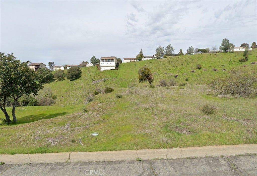 341 Black Oak Lane