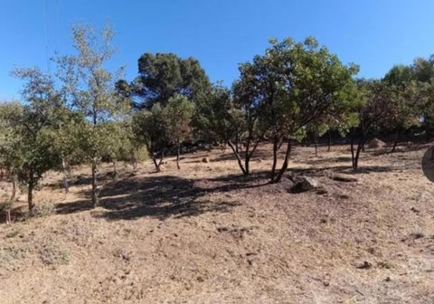 Photo of Kelseyville, CA 95451 (MLS # ML82051251)