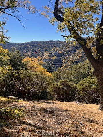 Available now in Lake Arrowhead Woods is this gentle to moderately sloped lot with the survey and topography map included. This vacant land parcel in the Golf Course Area has mesmerizing views of the San Bernardino Mountains, Grass Valley Lake and colorful sunsets. All utilities are available including electricity, gas, water and sewer making building a home here a breeze.
Enjoy local vegetation such as Oak Trees, Pine Trees and Manzanita Bushes which are growing naturally on the land. You will be able to build a level access home on this down sloped lot, which is a desirable feature here in the mountains. A home built in Lake Arrowhead, CA with lake rights, meaning direct access to Lake Arrowhead, will generally have a significantly higher value compared to a home in the Lake Arrowhead Area without Lake Access. Homes located near this vacant land have recently sold for up to $600,000 or more. Having Lake Rights gives you exclusive access to use this popular resort Lake, including access to the beaches, hiking trails, fishing and boating depending on your membership through the Arrowhead Lake Association. Have a barbeque picnic lakeside at Peninsula Park or on the shores of Grass Valley Lake in Grass Valley Lake Park near the Country Club. You can also register a boat and spend the day waterskiing, wakeboarding or cruising on the best Lake in Southern California. This land is a 10 minute or less drive to local schools, (elementary school through high school), the local hospital and grocery stores. If you own a home in the Lake Arrowhead area, you can increase your Lake Arrowhead experience and value by owning a lot in Lake Arrowhead Woods. No address has been assigned yet.