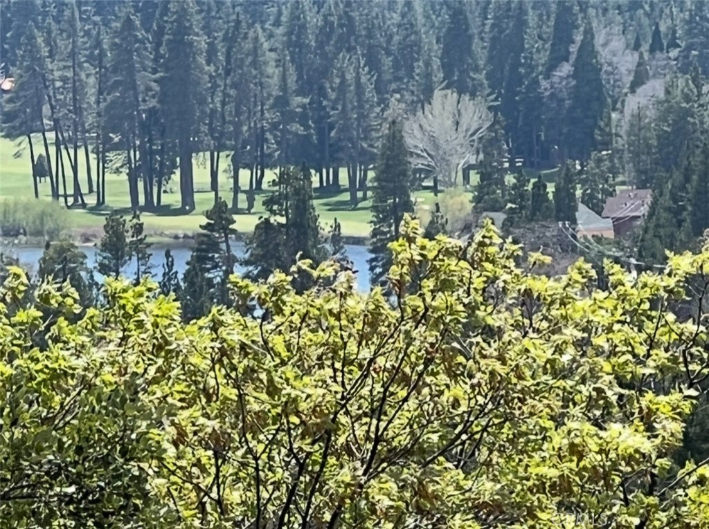 Arrowhead Woods (AWHW) - Land