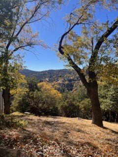 Arrowhead Woods (AWHW) - Land