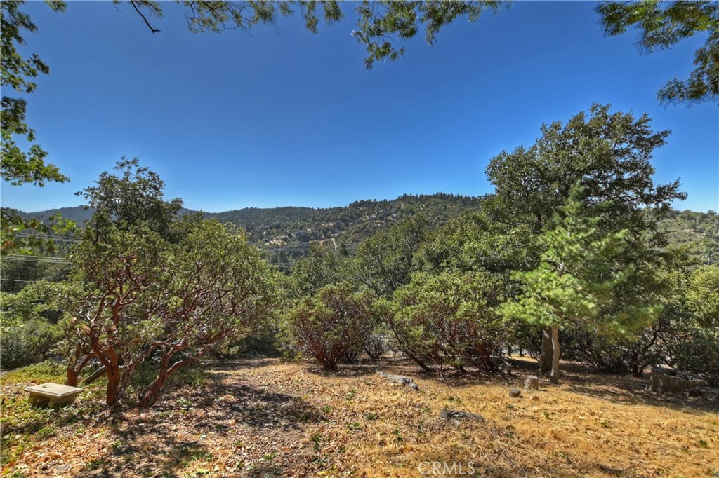 Available now in Lake Arrowhead Woods is this gentle to moderately sloped lot with the survey and topography map included. This vacant land parcel in the Golf Course Area has mesmerizing views of the San Bernardino Mountains, Grass Valley Lake and colorful sunsets. All utilities are available including electricity, gas, water and sewer making building a home here a breeze.
Enjoy local vegetation such as Oak Trees, Pine Trees and Manzanita Bushes which are growing naturally on the land. You will be able to build a level access home on this down sloped lot, which is a desirable feature here in the mountains. A home built in Lake Arrowhead, CA with lake rights, meaning direct access to Lake Arrowhead, will generally have a significantly higher value compared to a home in the Lake Arrowhead Area without Lake Access. Homes located near this vacant land have recently sold for up to $600,000 or more. Having Lake Rights gives you exclusive access to use this popular resort Lake, including access to the beaches, hiking trails, fishing and boating depending on your membership through the Arrowhead Lake Association. Have a barbeque picnic lakeside at Peninsula Park or on the shores of Grass Valley Lake in Grass Valley Lake Park near the Country Club. You can also register a boat and spend the day waterskiing, wakeboarding or cruising on the best Lake in Southern California. This land is a 10 minute or less drive to local schools, (elementary school through high school), the local hospital and grocery stores. If you own a home in the Lake Arrowhead area, you can increase your Lake Arrowhead experience and value by owning a lot in Lake Arrowhead Woods.