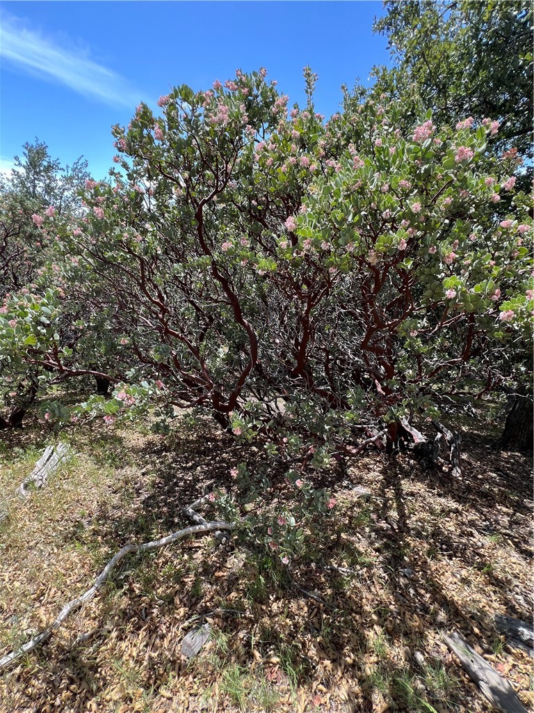 Arrowhead Woods (AWHW) - Land
