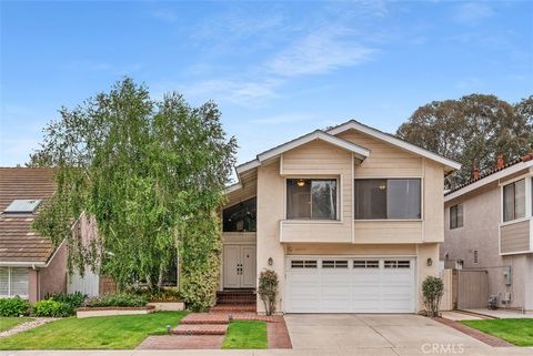 25132 Vista Serrano Lake Forest CA 92630