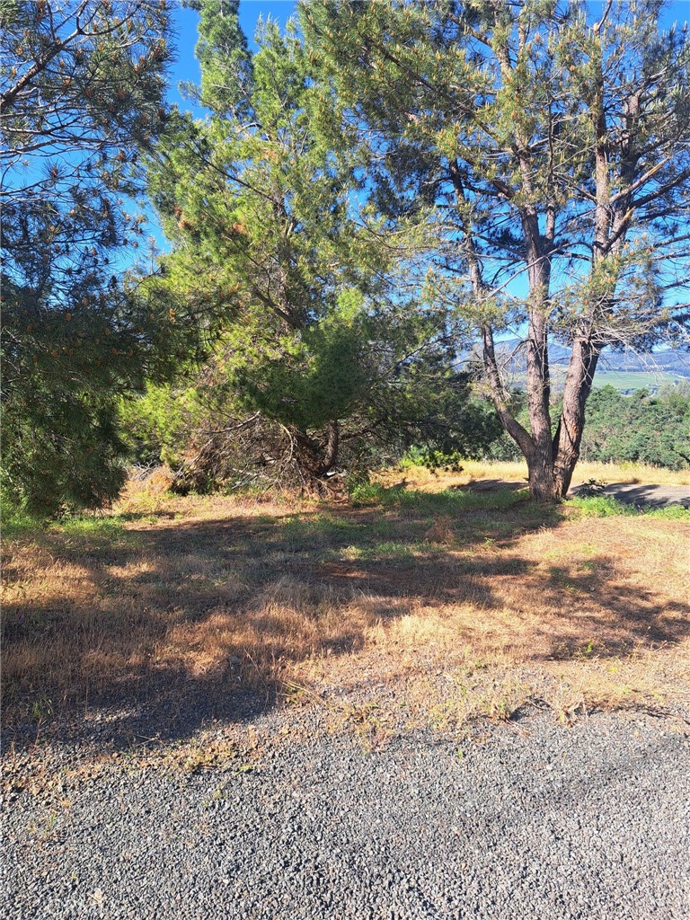 Beautiful buildable parcel located on a corner lot. Level with healthy trees. Rural yet still close to the hospital, dining, shopping and more. Short 5 minutes drive to the lake and boat launch. the adjacent parcel is also available.