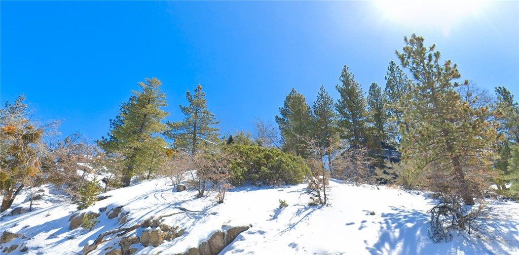 Running Springs (RUSG) - Land