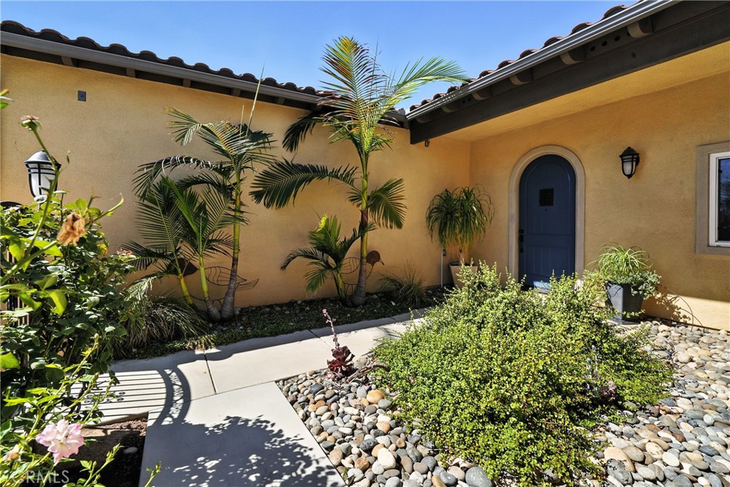 34899 Orange Street