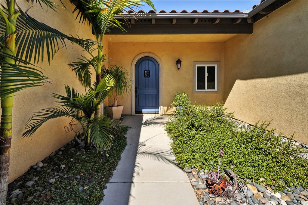 34899 Orange Street