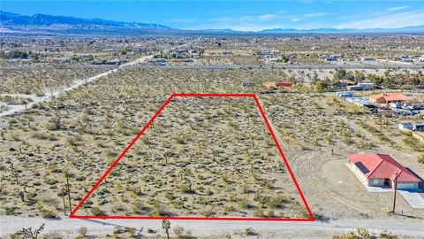 Photo of 11786 Buckwheat Road, Pinon Hills, CA 92372 (MLS # CV26013468)