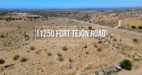 Photo of 11250 Fort Tejon Road, Pearblossom, CA 93553 (MLS # SR26000438)