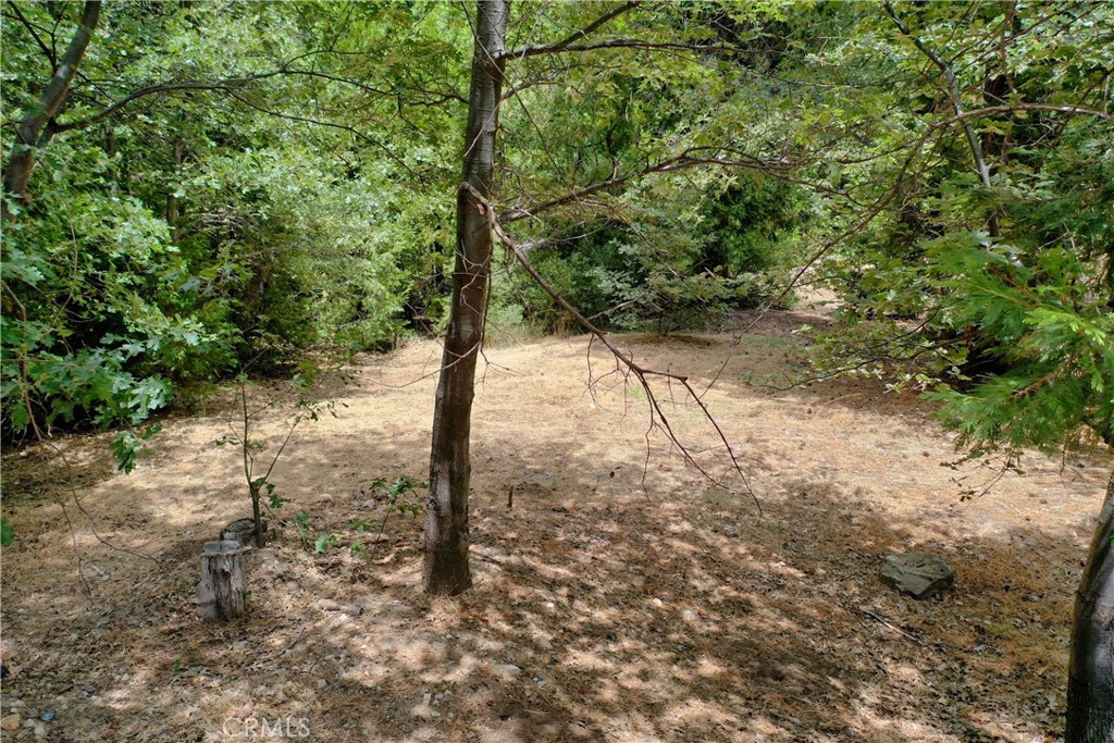 Arrowhead Woods (AWHW) - Land