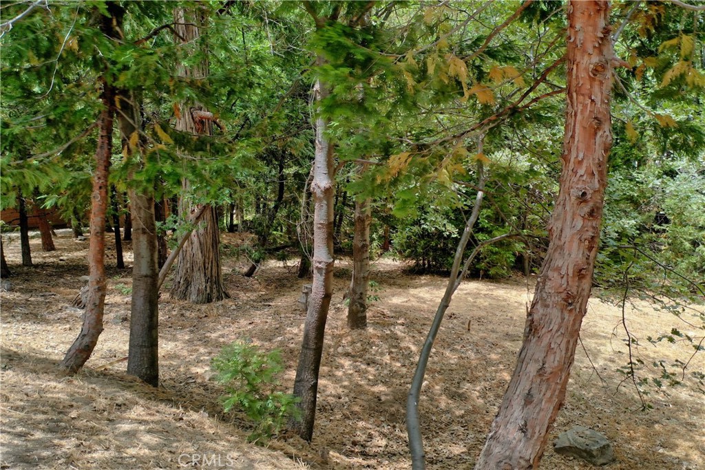 Meadow Shores Lot with Dock Rights, Lake Front Gated Community. Beautiful Treed Flat Lot ready to build, .22 Acres (9960 sq ft Lot).
Walk a few doors down to your Dock at Meadow Shores. All utilities are in street. One of the Best Deals in Arrowhead Woods.