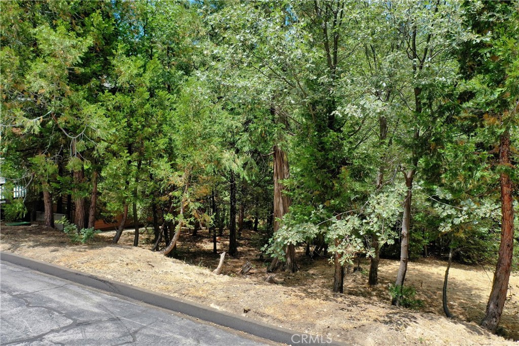 Arrowhead Woods (AWHW) - Land
