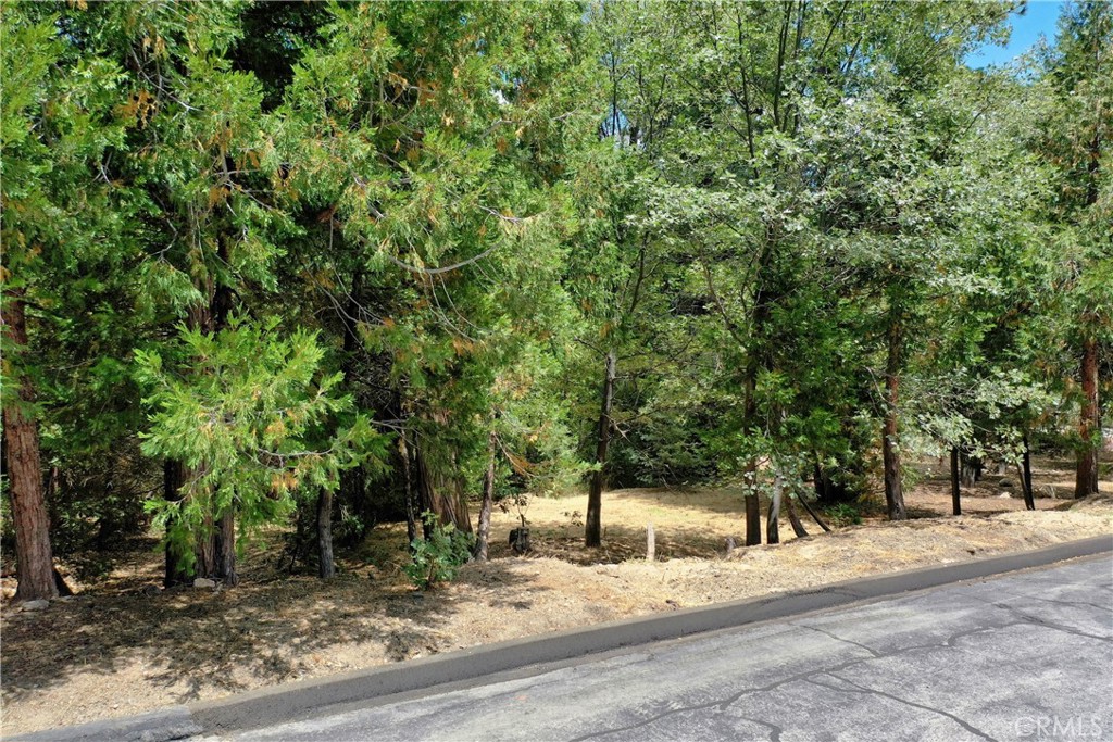 Arrowhead Woods (AWHW) - Land