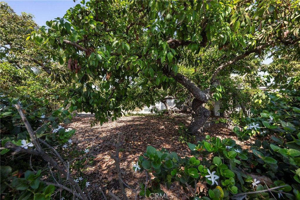 Boysen Park - Residential