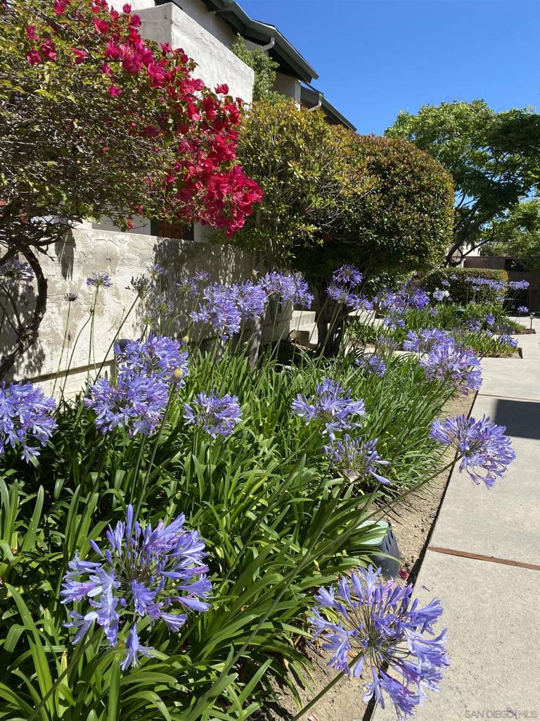 San Diego - Residential Lease