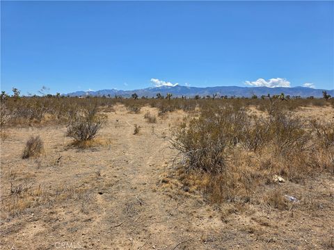 Photo of 0 Duncan Road, Phelan, CA 92371 (MLS # AR25272366)