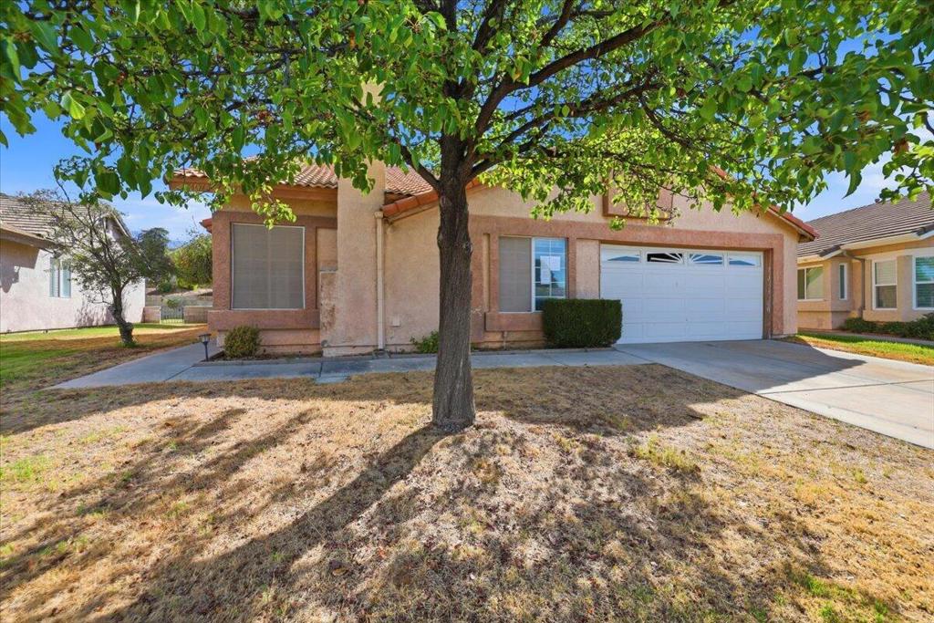10780 Bel Air Drive