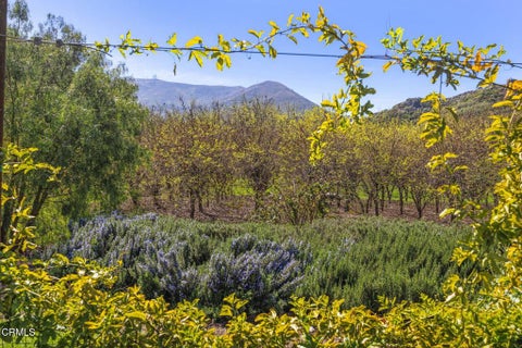 Tiny photo for 4620 Casitas Pass Road, Ventura, CA 93001 (MLS # V1-37007)