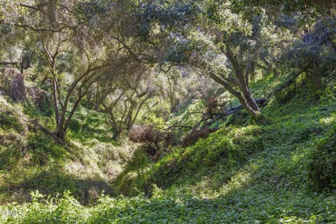Tiny photo for 4620 Casitas Pass Road, Ventura, CA 93001 (MLS # V1-37007)